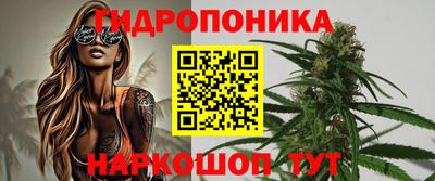 гашик Пыть-Ях