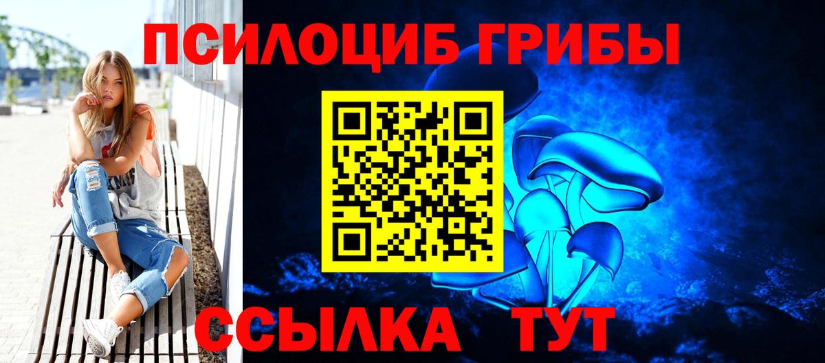 купить   Вход с VPN  Родники  Галлюциногенные грибы Cubensis  Псилоцибиновые грибы мухоморы 